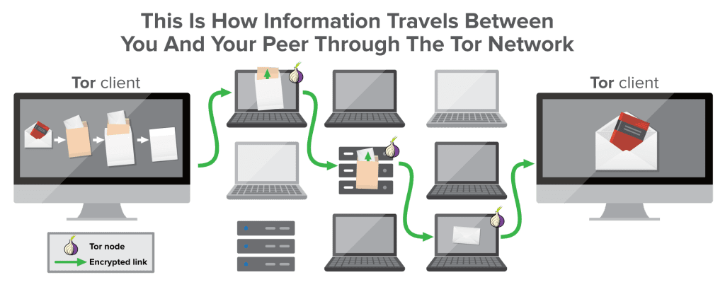 infographie : qu